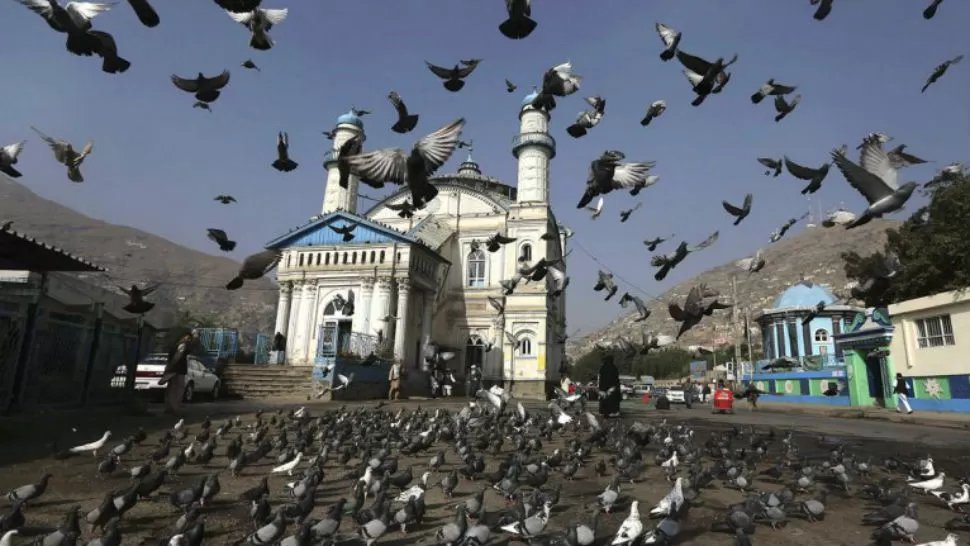 RARO FENÓMENO. Las aves en cuestión están muriendo en masa en la capital rusa. REUTERS