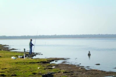 Sorpresas para el pescador