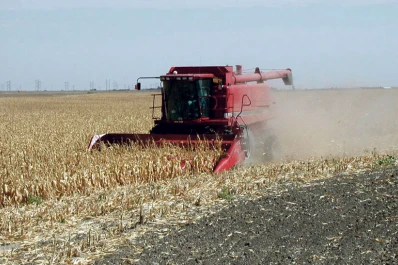 Caída de rentabilidad pone en juego la campaña de granos