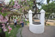 No te duermas sin hacer este viaje por el arte