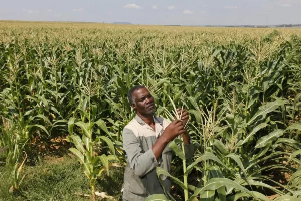 Argentina consolida el plan Agricultores sin Fronteras