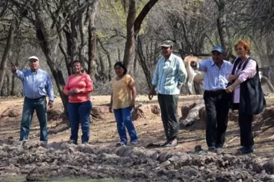 Salta: Enorme mortandad de ganado por la sequía