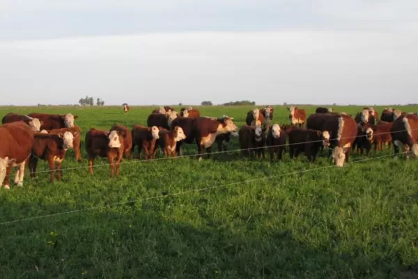 Se realizará el Congreso Mundial  de Periodistas Agropecuarios 2013