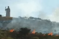 Se incendia un bosque nativo en Sierra de Medinas
