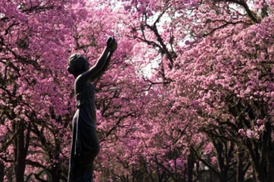 Preparate para transpirar: anuncian una máxima de 34°