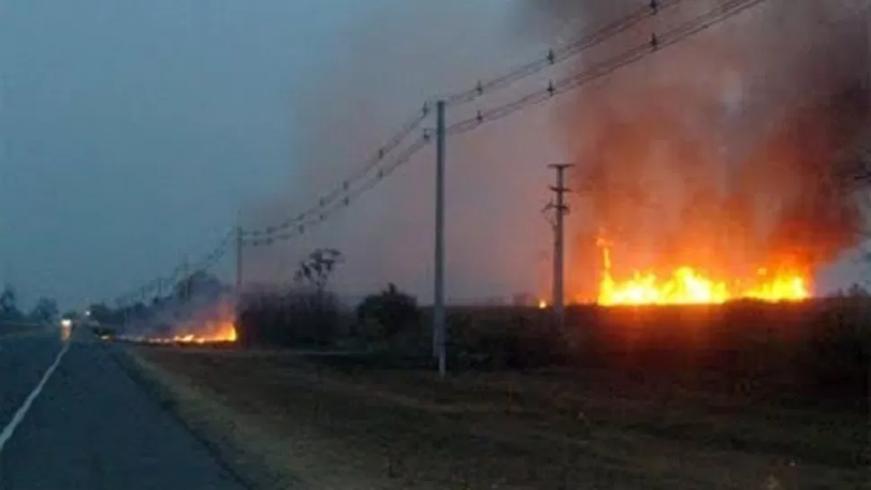 PRÁCTICA ILEGAL. Las quemas de cañas se multiplican desde hace unos meses. FOTO TOMADA DE CHANGE.ORG