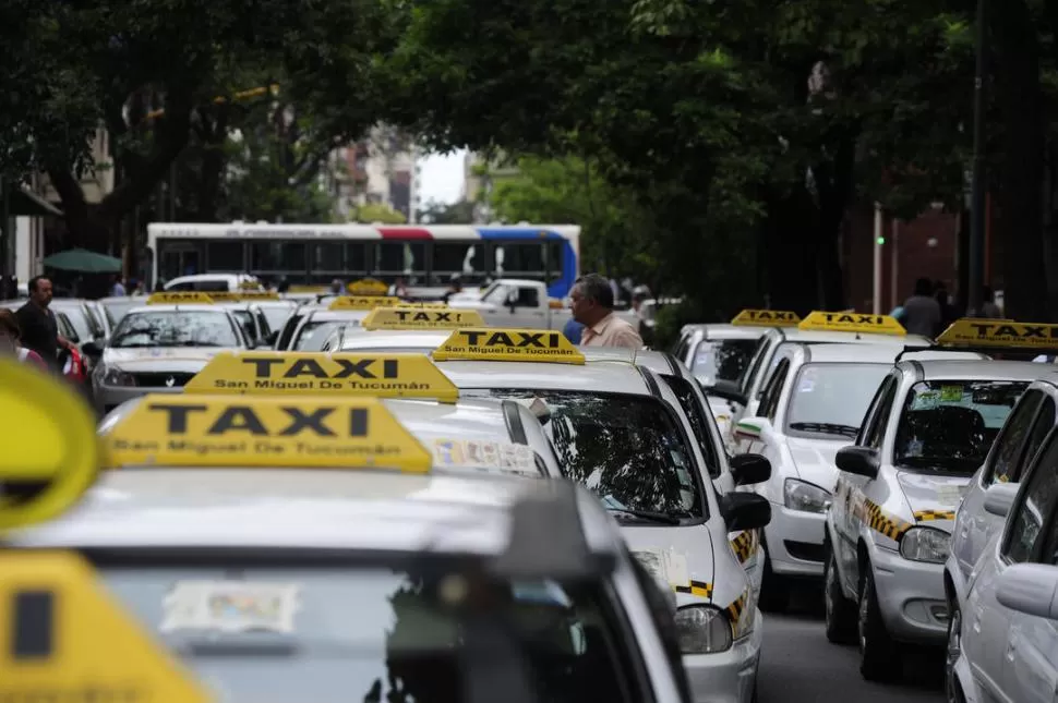 SUTRAPPA. La depuración del padrón de taxis ya está listo, dijo el intendente. LA GACETA / FOTO DE JORGE OLMOS SGROSSO (ARCHIVO)