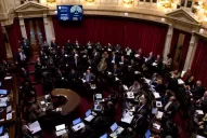 El Senado dio media sanción a la reapertura del canje de la deuda