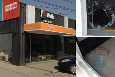 Usaron un pedazo de cordón cuneta para romper una vidriera y robar