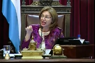 El video de la discusión entre Rojkés y Cano en el Senado