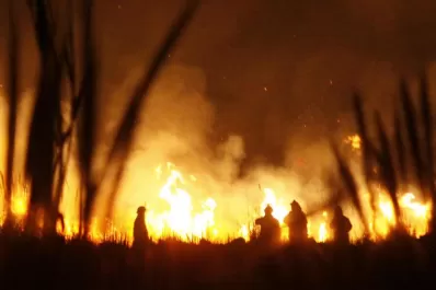 La sequía y el fuego arrasan con  los cultivos y la vegetación en el país