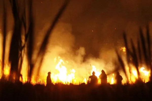 La sequía y el fuego arrasan con  los cultivos y la vegetación en el país