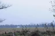 La sequía llegó para quedarse en Tucumán