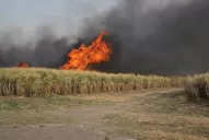 Un incendio causó preocupación en Los Ralos