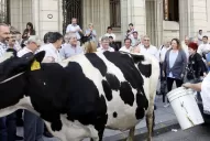 Protestan con una vaca en el Ministerio de Agricultura