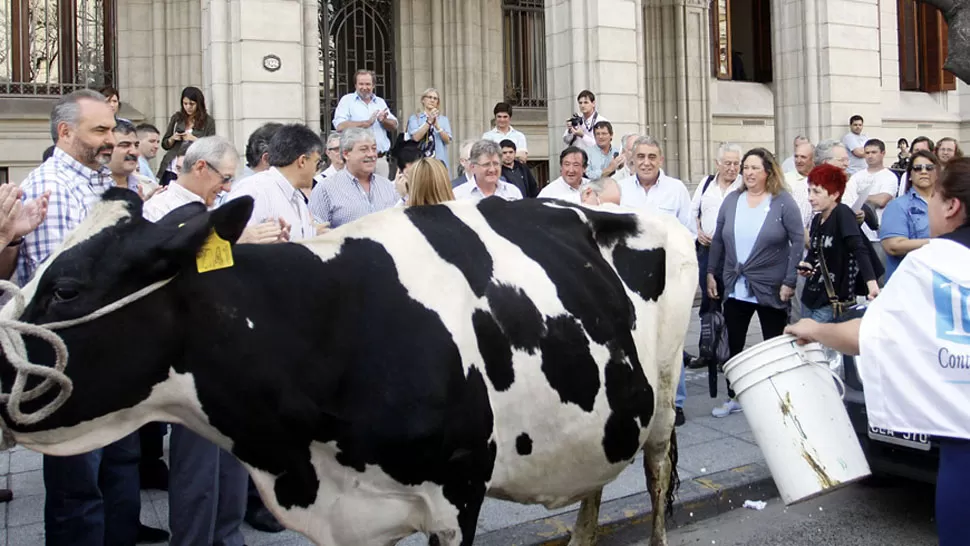 INÉDITO. Los productores ordeñaron la vaca frente a Agricultura. FOTO TOMADA DE LAPOLITICAONLINE.COM