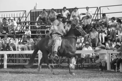 Tuvo una gran convocatoria el Concurso de Caballos Peruanos