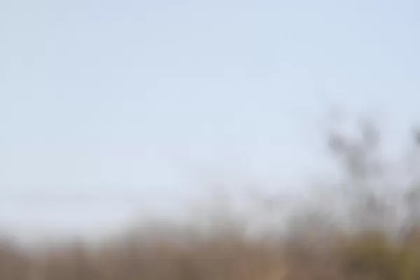 Con los cambios ante Arsenal, Díaz busca dosificar el esfuerzo