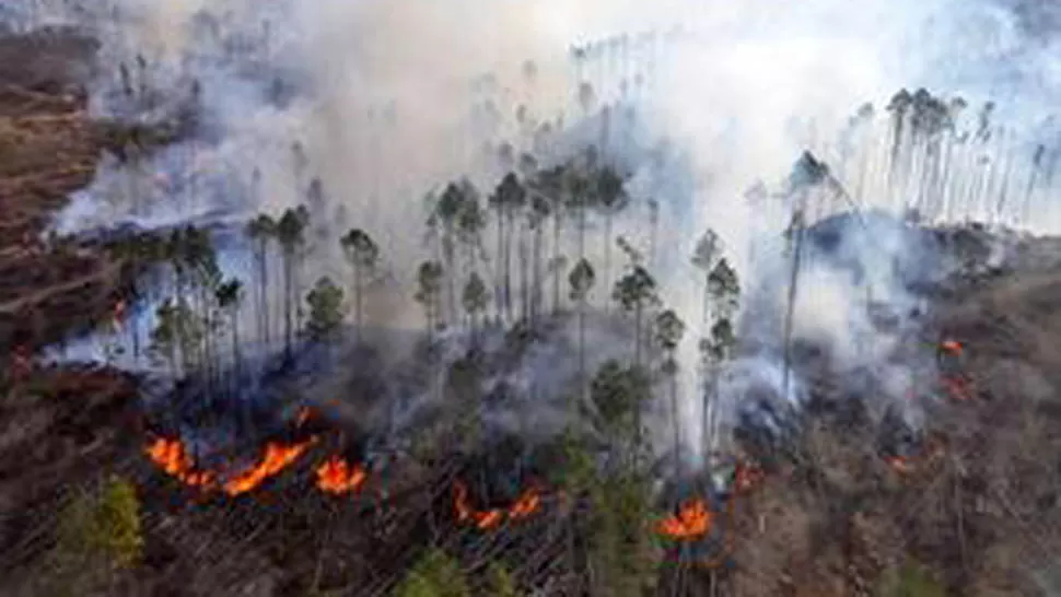 ALIVIO. El fuego afectó unas 40.000 hectáreas, pero ya está bajo control. DyN 
