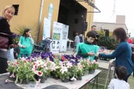 Canjearon botellas por plantines florales