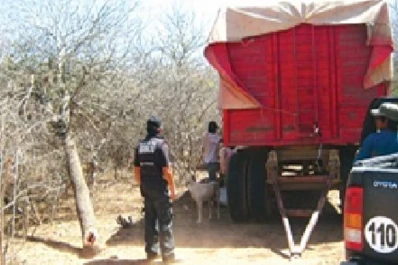 Detectan empleo infantil e indígenas indocumentados en una finca salteña