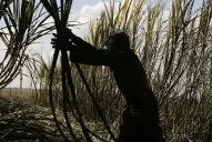 El Gobierno, decidido a erradicar el trabajo en negro