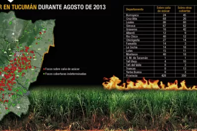 Se incrementó un 77% el número de focos  de calor registrados en agosto, en Tucumán