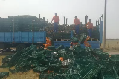 Decomisan 1.200 cajas de mandarinas de Entre Ríos