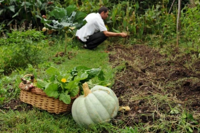 Se viene el II Encuentro de Familias Huerteras