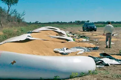 Asaltan una estancia cerca de Quimilí y se llevan 90 toneladas de soja