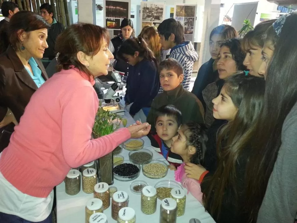 INVESTIGADORES. Niños y adultos se mostraron sorprendidos al conocer cómo se trabaja en la Estación Experimental de Tucumán. GENTILEZA EEAOC 
