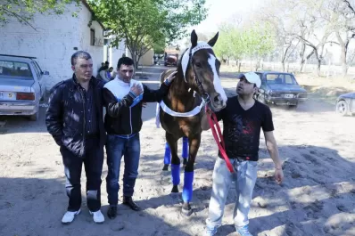 Volvió para brillar