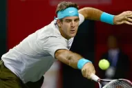 Del Potro venció a Berlocq y se metió en los cuartos de final, en Japón