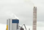 Mujica: la Argentina pierde la racionalidad por las elecciones