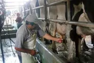 Trancas trabaja para volver a ser una cuenca lechera importante