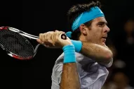 Del Potro venció a Dolgopolov y es semifinalista