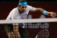 Del Potro venció a Almagro y jugará la final en Tokio