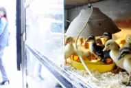 En El Bajo muchos negocios se resisten al paso del tiempo