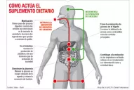 Masticá sin engordar: lanzan un chicle para controlar el apetito