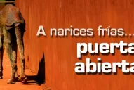 A narices frías... puertas abiertas