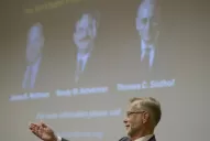 Les dieron el Nobel de Medicina por revelar el misterio del tráfico celular