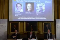Otorgan el Nobel de Química a tres estadounidenses por llevar la experimentación al ciberespacio