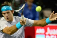 Del Potro ya está en los cuartos del Master 1000 de Shanghai