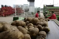 Inauguran el frigorífico de cerdos 20 de Junio