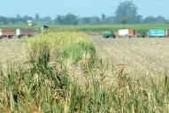 No hay respuestas del Estado frente a la crisis