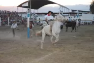 Doma, caballos peruanos y mucho folclore en Trancas