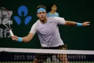 Del Potro no pudo con Djokovic