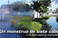 Un monstruo de siete cabezas o un bien para la sociedad