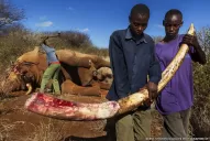 Premio Fotógrafo de Naturaleza del Año 2013: las mejores imágenes