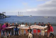 Encuentran una serpiente marina de más de cinco metros en California